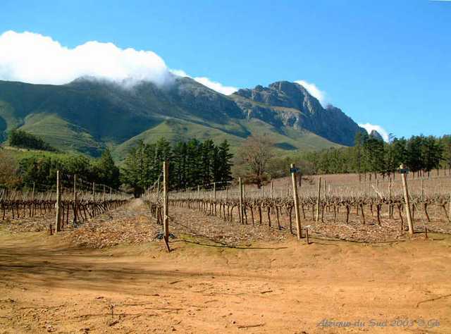 053route vins